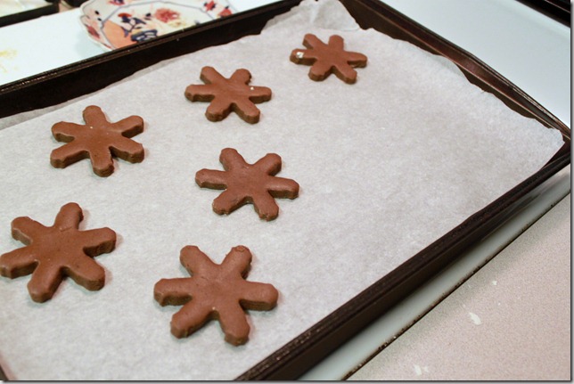 gingerbread 003