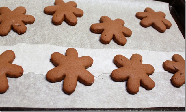 gingerbread 004