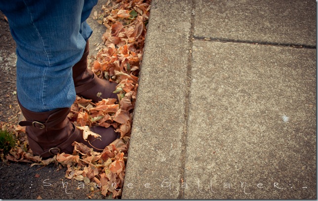 Boots&Leaves