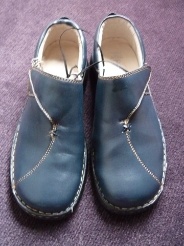 [blue shoes[2].jpg]