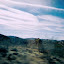 Joshua Tree