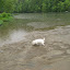 Cumberland River