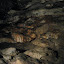 Timp Cave