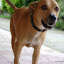 DSC07423.JPG