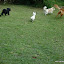 Galera gastando energia!!