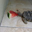 Olha o bocão!!!rsrs