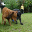 DSC09835.JPG