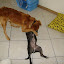 DSC00353.JPG