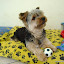 DSC00801.JPG