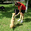 DSC09927.JPG