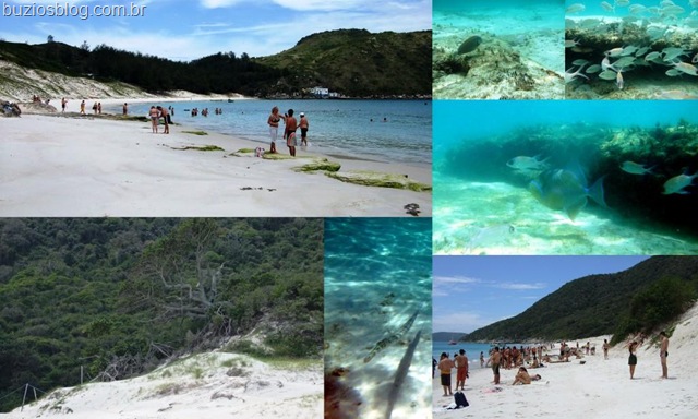 [Praia do Farol[12].jpg]