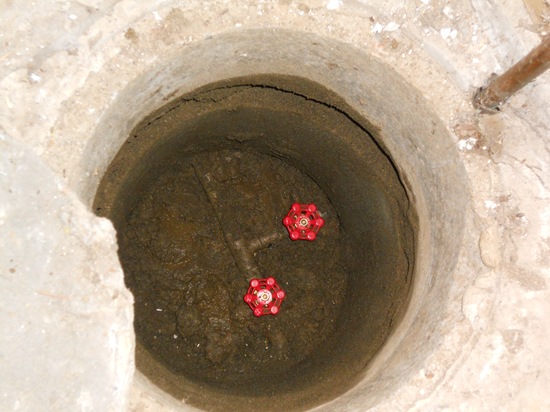 DSCN1314