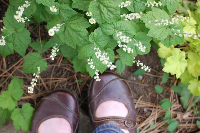 [shoes[4].jpg]