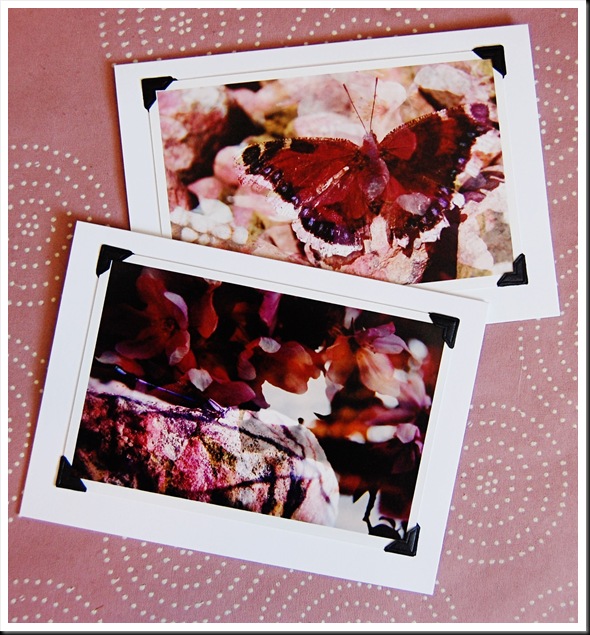 PINK PAIR 2