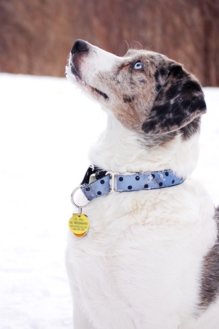 [Luca Looking Up x[4].jpg]