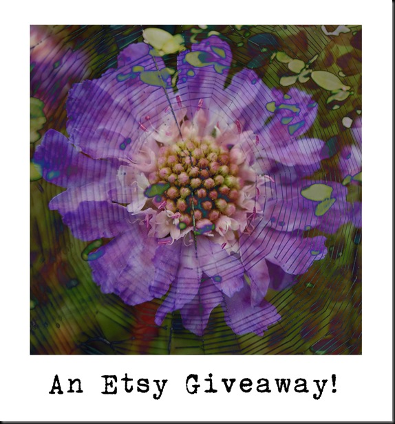 BLOG Giveaway