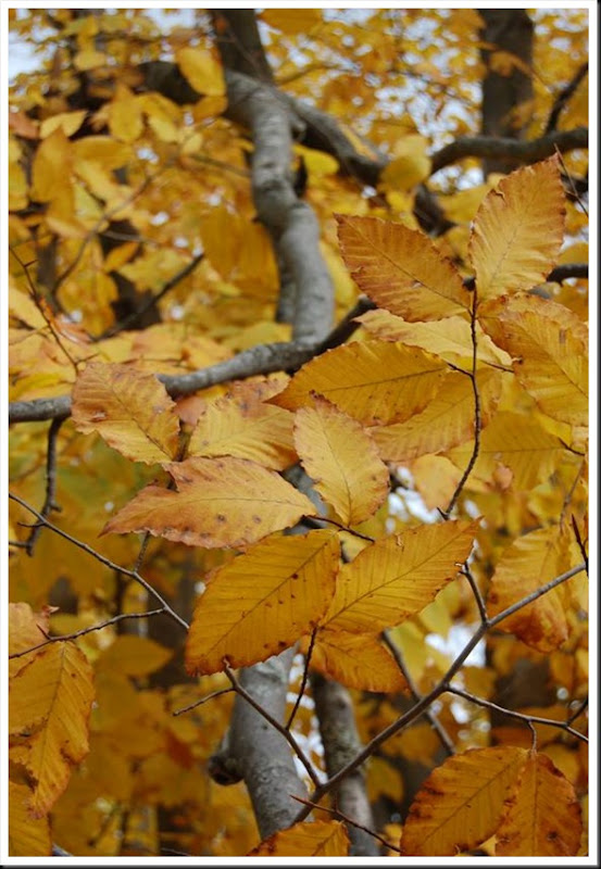 clip_image002[6]