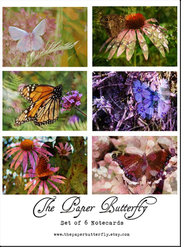BUTTERFLY Legend copy withwebaddress BUTTERFLY Legend copy withwebaddress