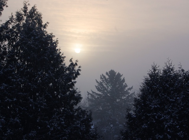 [whitemorning[1].jpg]
