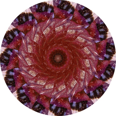 [MOURNING CLOAK WING MANDALA[10].jpg]
