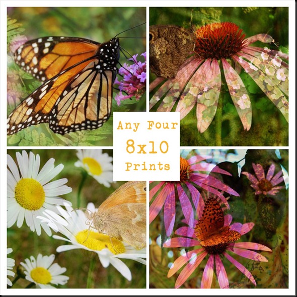 MOSAIC SET OF FOUR-BUTTERFLIES TEXT