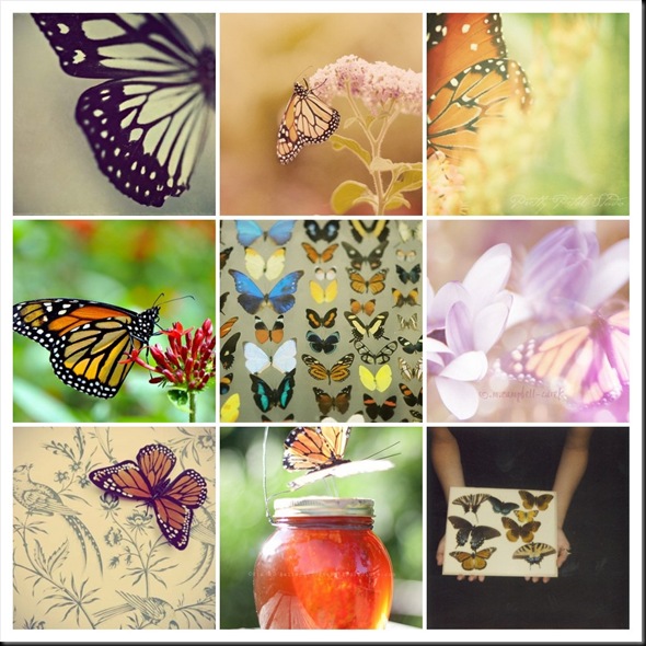 MONARCH MOSAIC