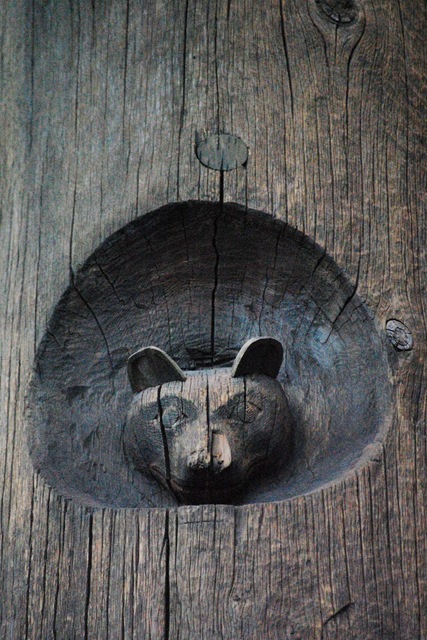 [TOTEM BEAR[1].jpg]