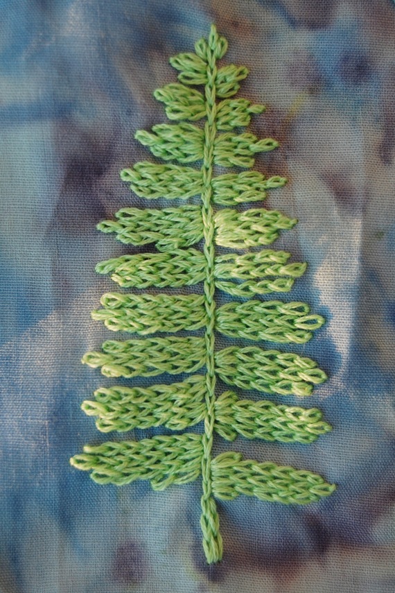 [fern[2].jpg]