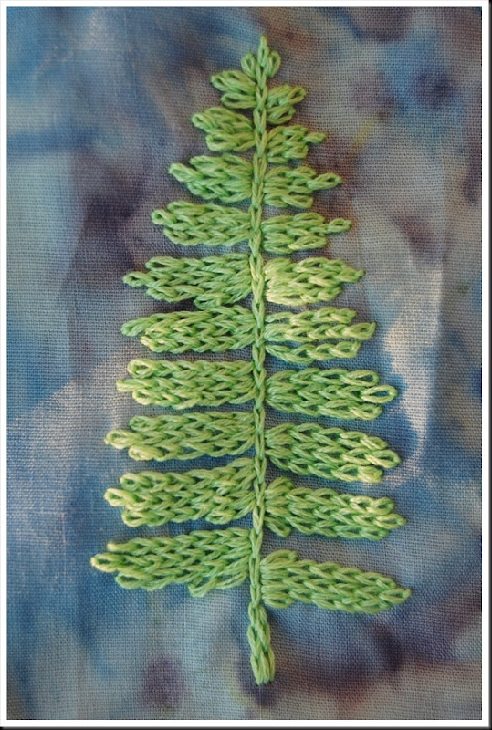 fern