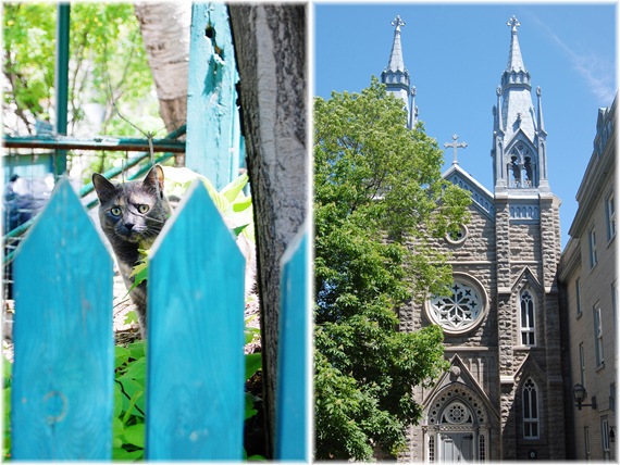 CAT CHURCH DIPTYCH