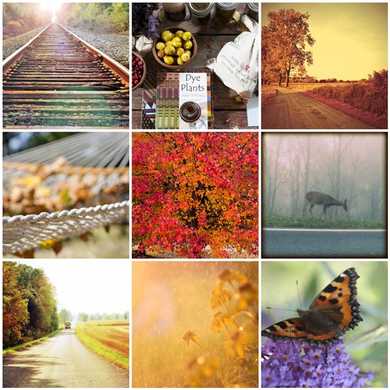 [Autumn Mosaic[2].jpg]