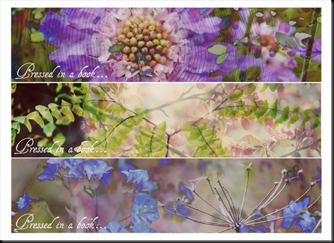 Floral (text) Smaller
