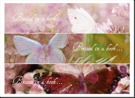 Butterfly (text) Smaller