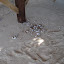 DSC04803.JPG