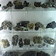 DSC00501.JPG