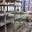 DSC00027.JPG