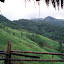 DSC05589.JPG
