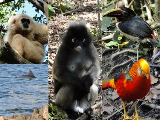 Israel Rocha_South Africa_Surftrip 06