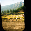 90940021.JPG