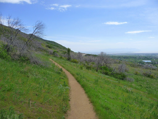 We need pictures of this section of trail. Email them to bonnevilleshorelinetrail@gmail.com.