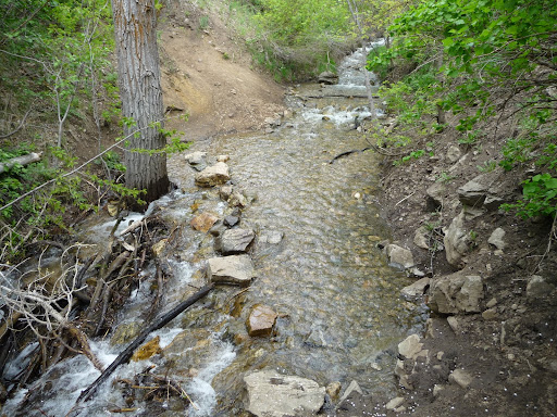 We need pictures of this section of trail. Email them to bonnevilleshorelinetrail@gmail.com.