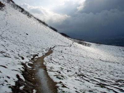 We need pictures of this section of trail. Email them to bonnevilleshorelinetrail@gmail.com.