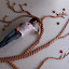 Crayon-Hanging-Out-14.jpg