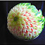 carvedfruits19.jpg