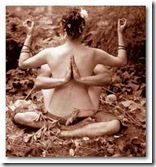 kamasutra kamasutra