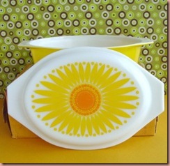 daisy pyrex