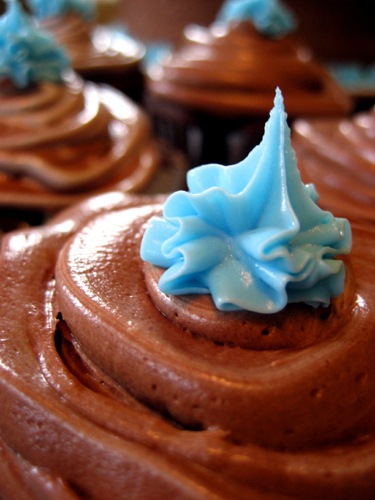 [chocolate cupcakes 1[3].jpg]