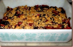 berrybardcrumble