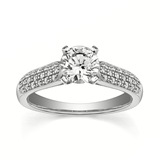 erin's ring