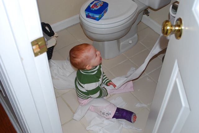 [DSC_4599[2].jpg]